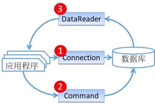 登录用户验证功能设计在信息咨询系统中的应用