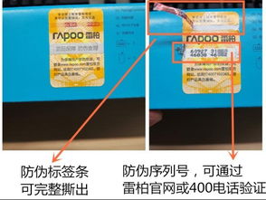 自动化助力信息化升级 雷柏产品查询系统革新信息咨询体验